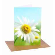 Biglietti auguri SENZA TESTO 3pz