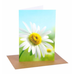 Biglietti auguri SENZA TESTO 3pz