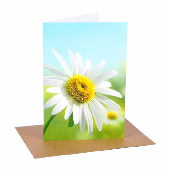 Biglietti auguri SENZA TESTO 3pz