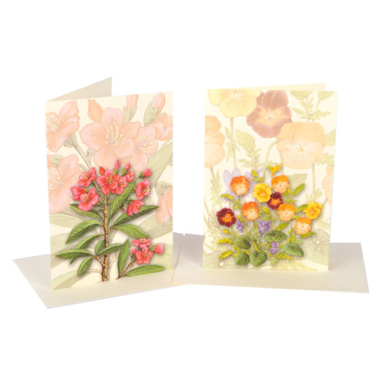 Biglietti auguri SENZA TESTO fiori 20pz Biglietti auguri SENZA TESTO fiori 20pz