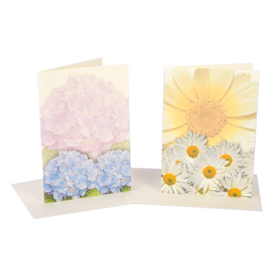 Biglietti auguri SENZA TESTO fiori 20pz Biglietti auguri SENZA TESTO fiori 20pz
