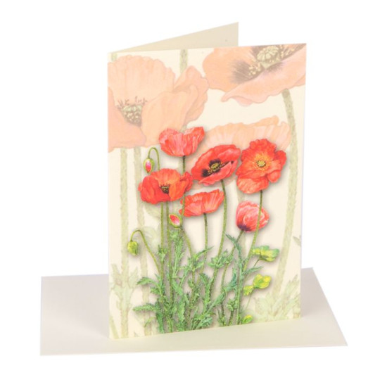 Biglietti auguri SENZA TESTO fiori 20pz Biglietti auguri SENZA TESTO fiori 20pz