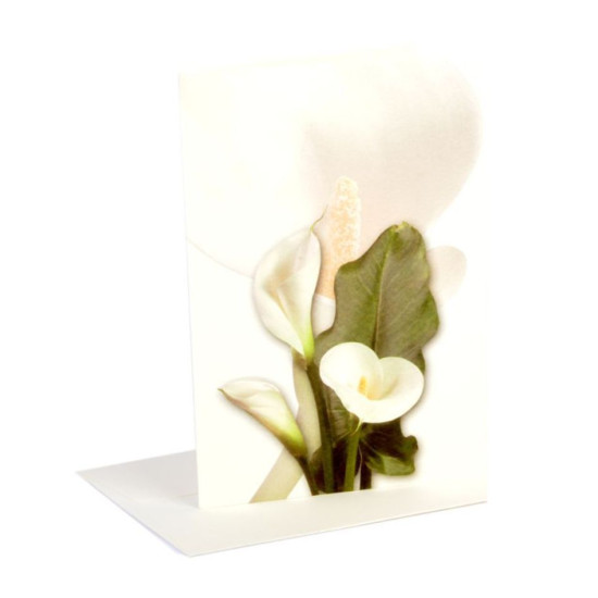 Biglietti auguri SENZA TESTO fiori 20pz Biglietti auguri SENZA TESTO fiori 20pz