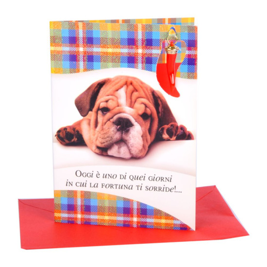 Biglietti curniciello PORTA FORTUNA 5pz Biglietti curniciello PORTA FORTUNA 5pz