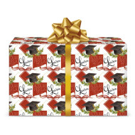 Carta regalo LAUREA 12 fogli