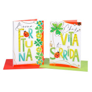 Biglietti AUGURI buona fortuna 12pz