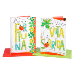 Biglietti AUGURI buona fortuna 12pz