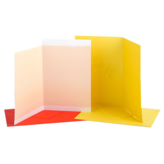 Biglietti auguri GRAZIE 12pz