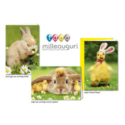 Biglietti augurali PASQUA coniglietti 12pz