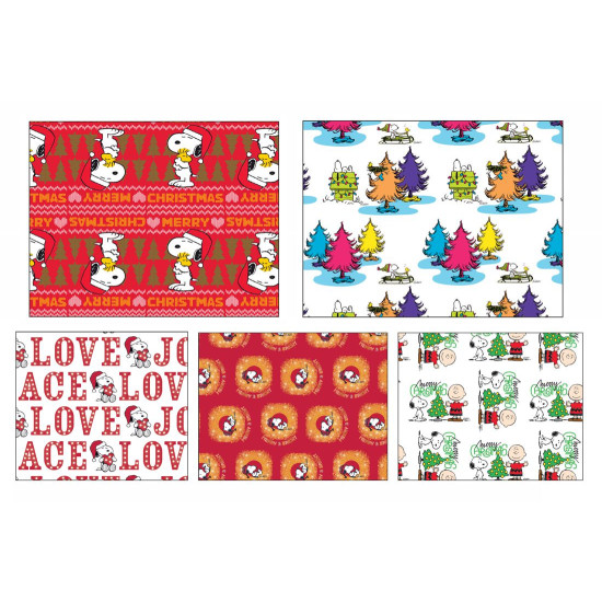 Carta regalo natale PEANUTS 50fg