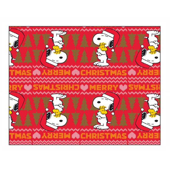Carta regalo natale PEANUTS 50fg