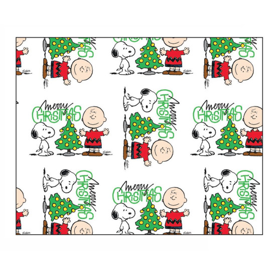 Carta regalo natale PEANUTS 50fg