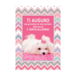 Biglietti auguri COMPLEANNO cucciolotti 12pz Biglietti auguri COMPLEANNO cucciolotti 12pz