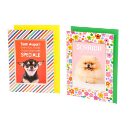 Biglietti auguri COMPLEANNO cuccioli funny oro 12pz