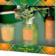 Set regalo profumato Arancio Cannella con candela, diffusore e spray Set regalo profumato Arancio Cannella con candela, diffusore e spray