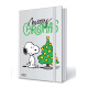 Notes PEANUTS natale 16pz