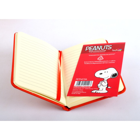 Notes PEANUTS natale 16pz