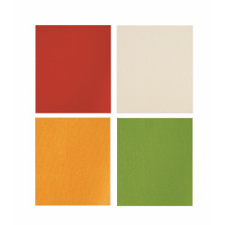 Busta regalo TINTA UNITA cm 40x60 50pz