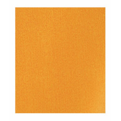 Busta regalo TINTA UNITA cm 25x40 100pz Busta regalo TINTA UNITA cm 25x40 100pz