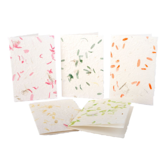 Cartoncini bianchi con busta Natural Provence 10 pz