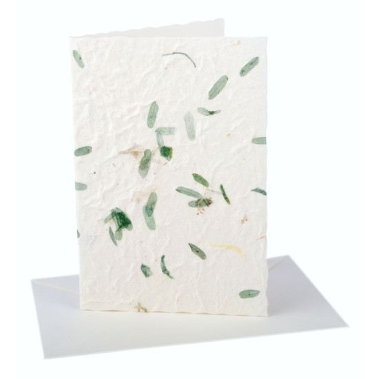 Cartoncini bianchi con busta Natural Provence 10 pz