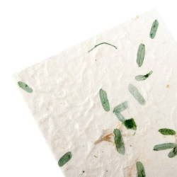 Cartoncini bianchi con busta Natural Provence 10 pz