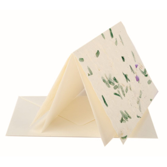 Cartoncini bianchi con busta Natural Provence 10 pz