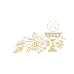 Biglietto bomboniera  COMUNIONE 200pz