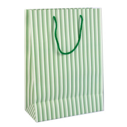 Shoppers 25x35 RIGATO 10pz Shoppers 25x35 RIGATO 10pz