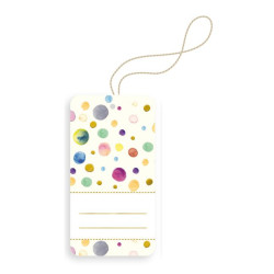 Chiudipacco PARTY 100pz