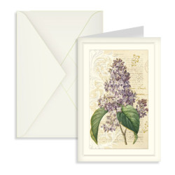 Biglietti augurali SENZA TESTO 12pz Biglietti augurali SENZA TESTO 12pz