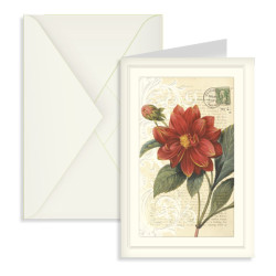 Biglietti augurali SENZA SCRITTE 12pz