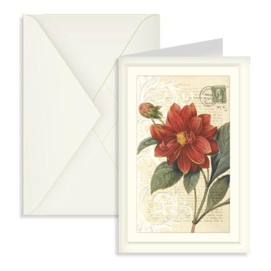 Biglietti augurali SENZA SCRITTE 12pz