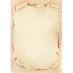 Diplomi pergamena A4 - 10 fogli