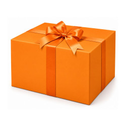 10 fogli carta regalo ARANCIO special kraft 100x70 10 fogli carta regalo ARANCIO special kraft 100x70
