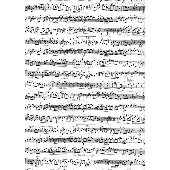 Carta regalo NOTE MUSICALI 10 fogli