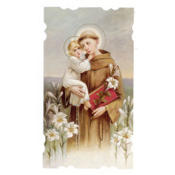 Santino Sant'Antonio Santino Sant'Antonio